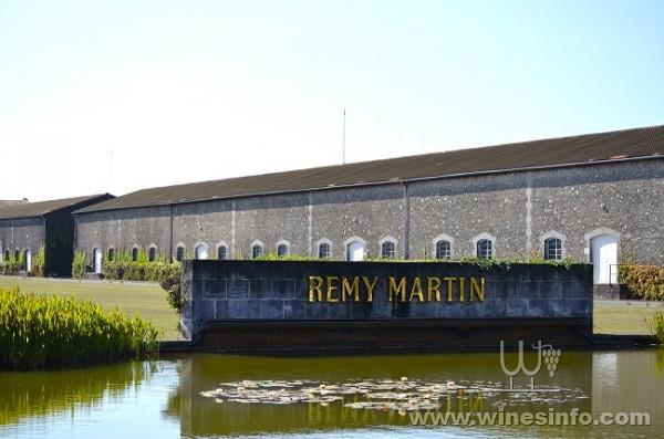 Remy-martin2.jpg