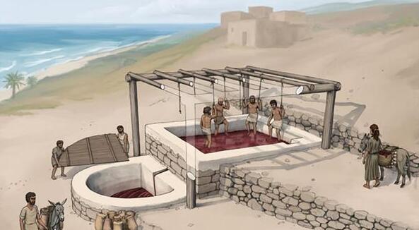 考古学家在黎巴嫩发现最古老的葡萄榨汁设备